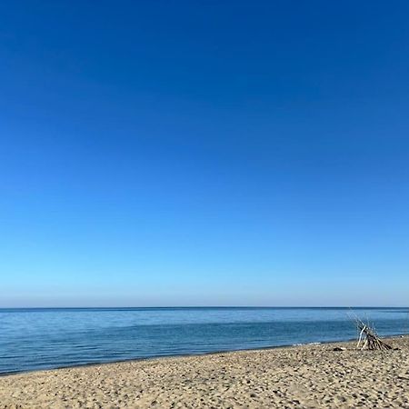 Appartement Bord De Mer Le Barcarès المظهر الخارجي الصورة